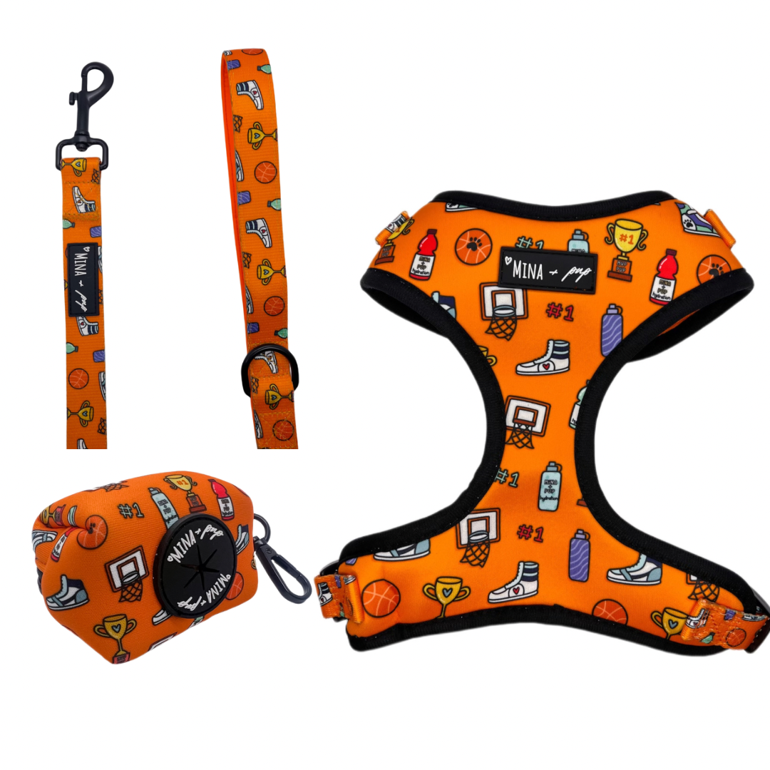 SAVE OVER 10% ON BUNDLE: Got Game? Basketball Adjustable Harness,